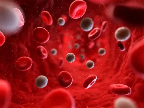 Blood Group- Best Diet: এই Blood Group-এর মানুষদের কম খাওয়া উচিত মাছ ...
