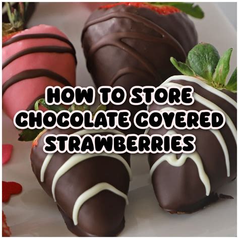 How to Properly Store Chocolate Covered Strawberries - Amira's Pantry - how long to freeze chocolate covered strawberries