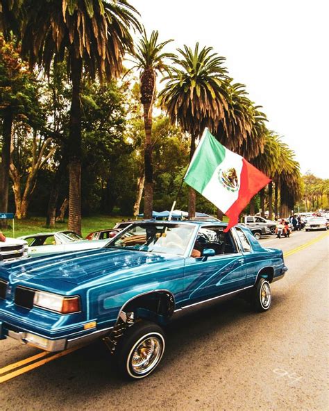 Mexican Cars