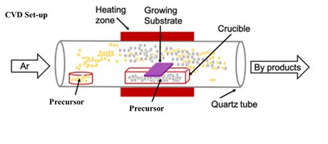 Figure 1 Schematic of CVD set-up