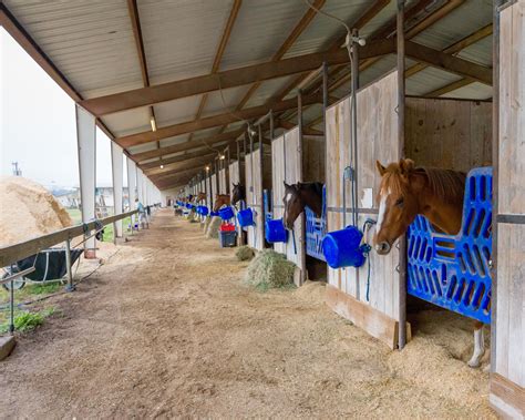 Careers — TEXAS RACING COMMISSION (TXRC)