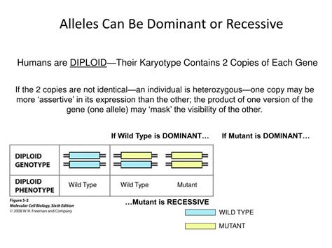 Image result for Difference Between Genetics or Inheritance
