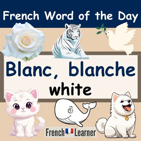Blanc, Blanche - white | FrenchLearner Word of the Day