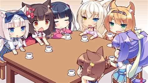 «Chocola (Nekopara» HD Wallpapers