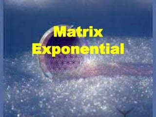 Matrix Exponential 的图像结果