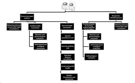 The process of justifying assisted reproductive technologies in Iran