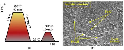 The Influence of the Geometry of Movement during the Friction Process ...