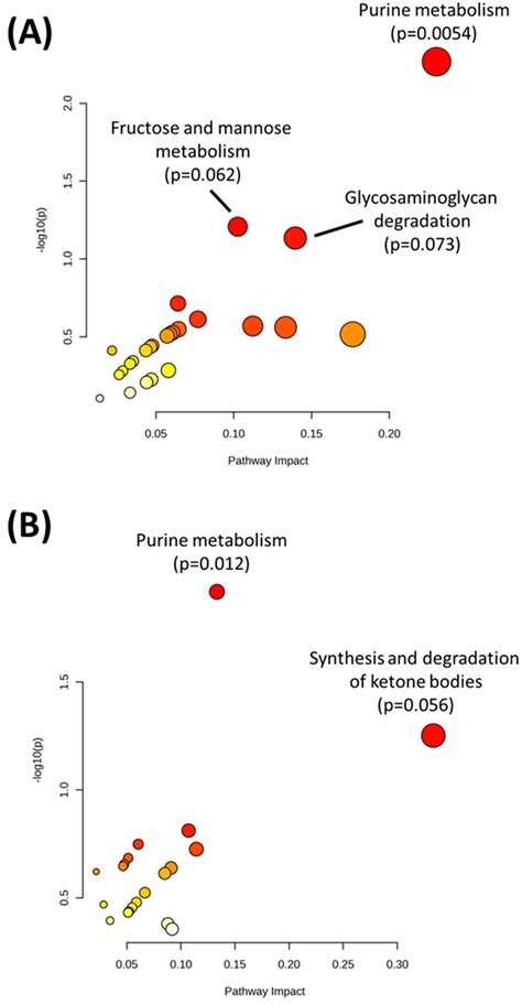 Multi-Omics Analysis of NCI-60 Cell Line Data Reveals Novel Metabolic ...