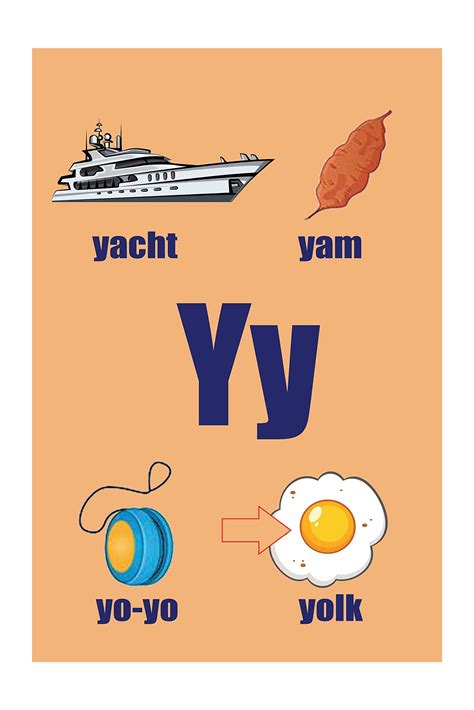 Buy Educational Wall |Alphabets Y Letter Words|Decorative for Children ...