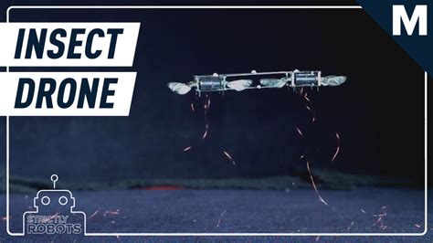 Insect Drones 的图像结果