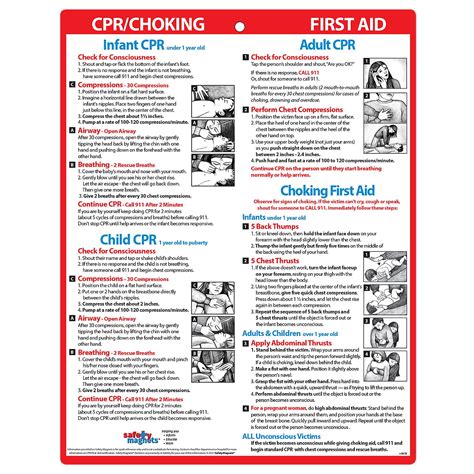 Buy CPR, Choking First Aid Magnet - Babies, Children, Adults - Heimlich ...