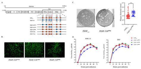 Amino Acid Substitutions in NS5 Contribute Differentially to Tembusu ...