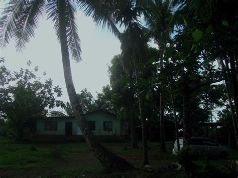Palikir Images - Vacation Pictures of Palikir, Pohnpei - Tripadvisor
