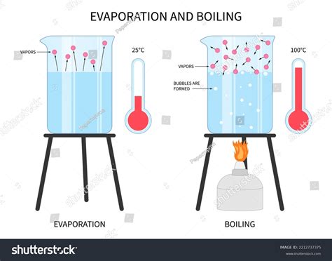 557 Cold Physic Images, Stock Photos & Vectors | Shutterstock