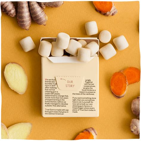True Gum Sugar Free Gum, Single Pack (21g) Or A Box Of 24, Ginger & Tu ...