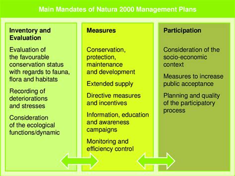 Management Planning Process 的图像结果