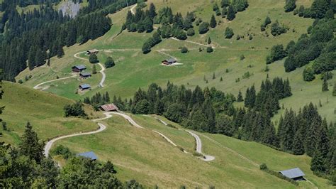 Wallpaper hills, trees, paths, houses hd, picture, image