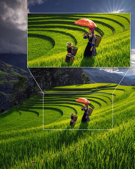 Sharper Shots, Bolder Ideas: Why High-Resolution Cameras Are A Creative ...