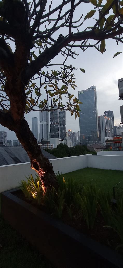 MIERS KUNINGAN ARTOTEL CURATED JAKARTA - Hotel Reviews, Photos, Rate ...