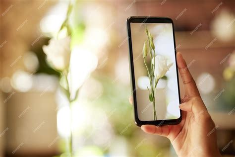Telefon roślinny i media społecznościowe ręką kobiety robiącej zdjęcie ...