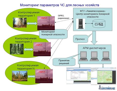 Задачи локального мониторинга
