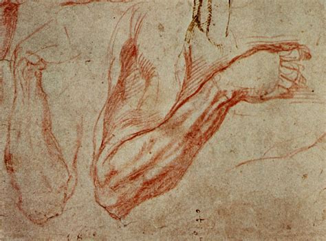 Image result for michelangelo anatomy studies