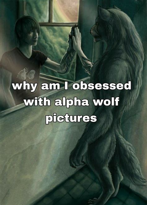 Discover 54 Emo wolf memes and alpha werewolf ideas | memes, alpha wolf ...