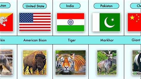 Image result for Animals On Button Moon