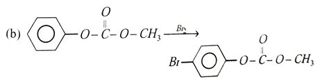 Phenol reacts with methyl chloroformate in the presence of `NaOH` to ...