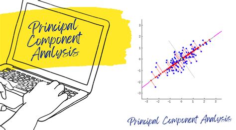 Image result for Principal component analysis PCA Applications