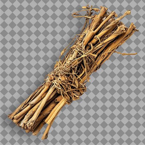 Bupleurum chinense type of herb chai hu form of herb dried r isolated ...
