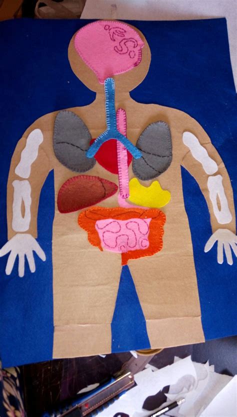 The human body💪 Human Body, Crafts For Kids, Science, Crafts For Children, Kids Arts And Crafts ...