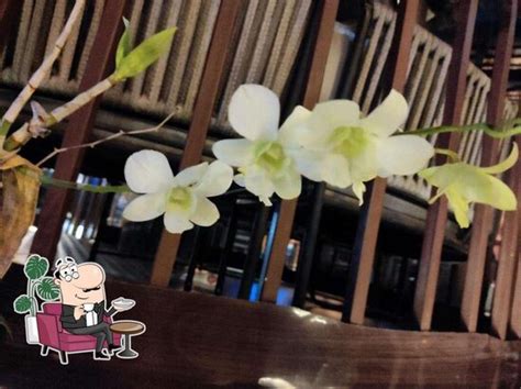 Hut's & Hive Bar & Kitchen, Hyderabad - Restaurant menu, prices and reviews