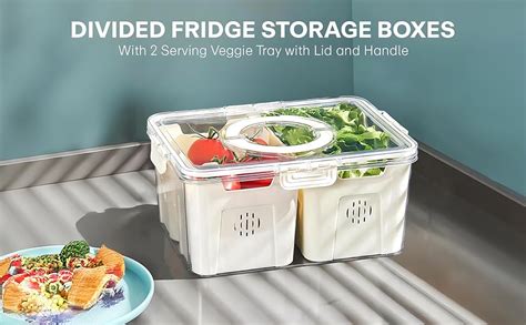 Buy PRIME PICK Fridge Storage Boxes Fruit vegetable, Fridge Food ...