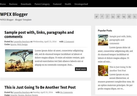 Image result for Simple Blogger Tem