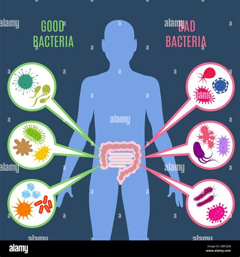 Harmful Microorganisms With Names