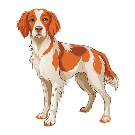 Brittanydogvectorarticons svg white background | Premium AI-generated ...