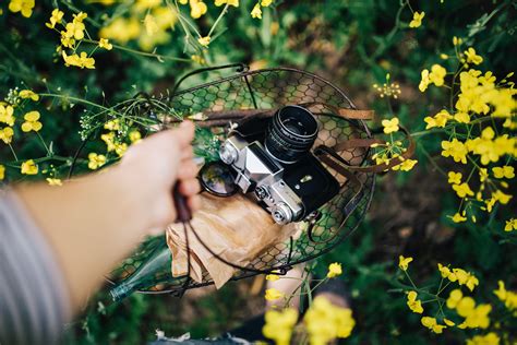 Image result for HTML Screen with Simple Program