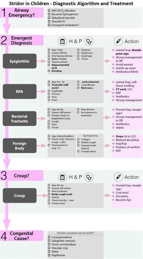 Stridor in Children - Diagnostic Algorithm and Treatment - Manual of ...