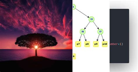 Image result for Ball Tree Tutorial