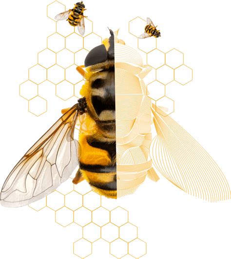 Image result for Accelerate Learning