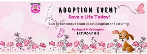 ADOPTION EVENT - PetSmart Covington, PetSmart Covington 45 Park Place ...