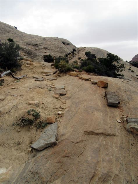 Loop Trail 的图像结果