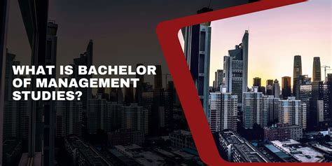 What is Bachelor of Management Studies? | Unique Mark - Education Consultancy