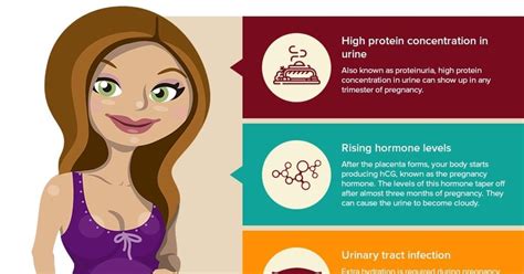Cloudy Urine During Pregnancy [ Infographic]