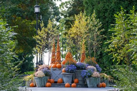 How to Decorate With Mums in Creative Ways | HGTV