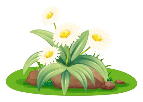 Images de Dessin Herbe Fleurs – Téléchargement gratuit sur Freepik