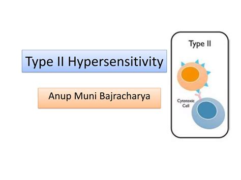Type II Hypersensitivity-Antibody mediated cytotoxic Hypersensitivity | PPT