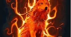 Orange Wolf Wallpaper by Orange Wolf Gifs Wolves And Orange Wolf Wallpaper