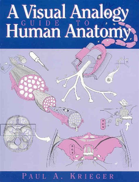 Buy A Visual Analogy Guide to Human Anatomy Book Online at Low Prices ...